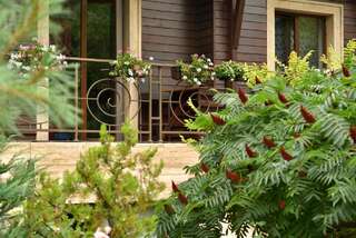 Отель 6aTo Hotel & Spa София-1